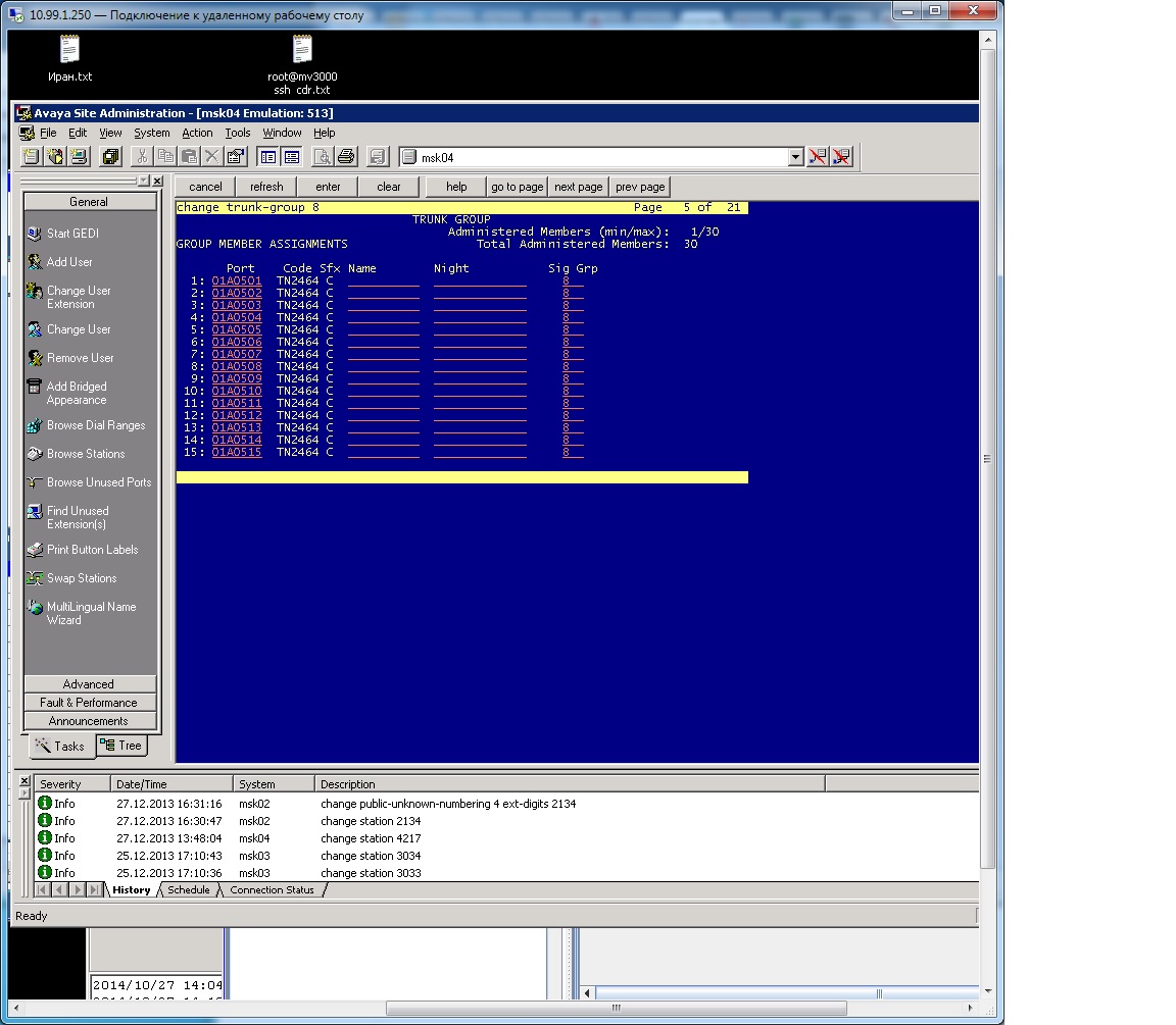 Avaya 5.jpg